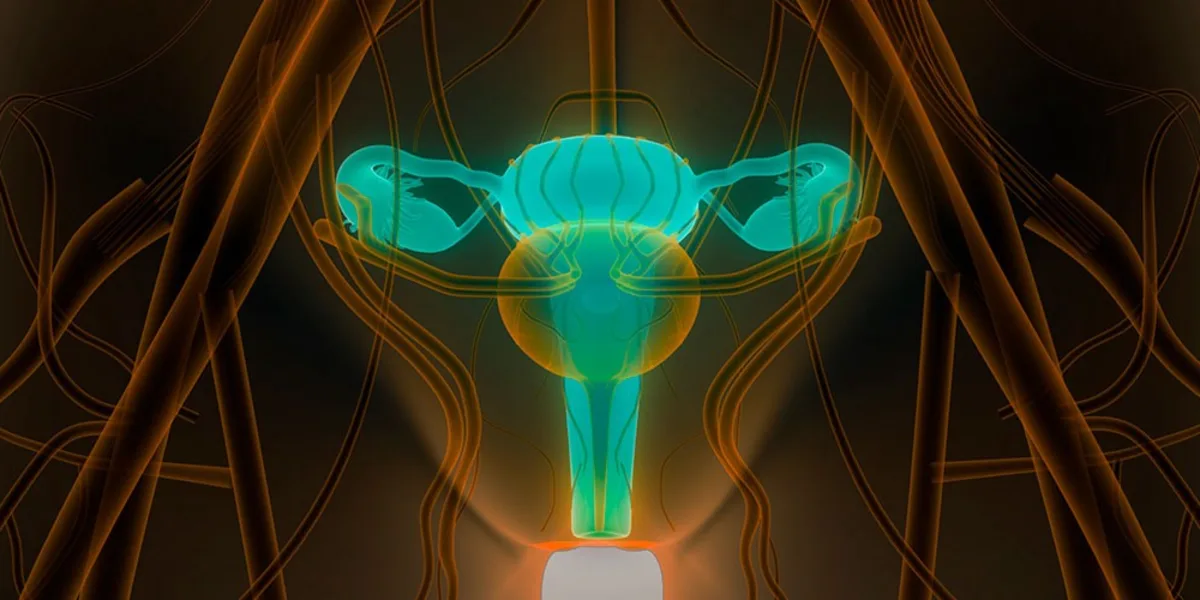 What Is the Future of Gynecologic Surgery and the Subspecialties?