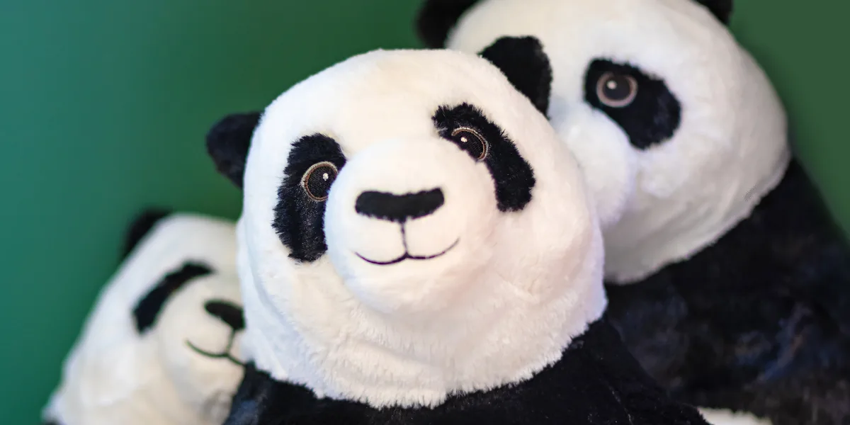 Pandas and Tigers and Crowds – Oh My!