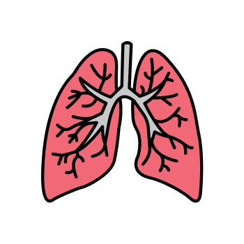 Pulmonology